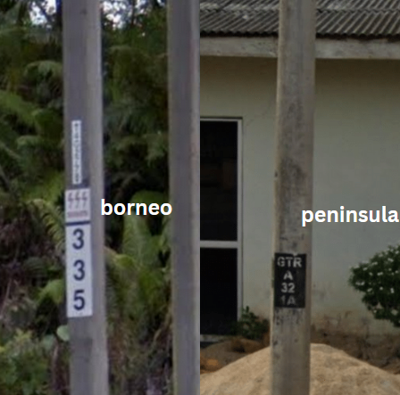 Main peninsula vs Borneo